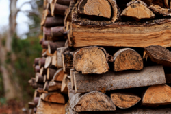В Киевской области регистрируют на получение дров: условия