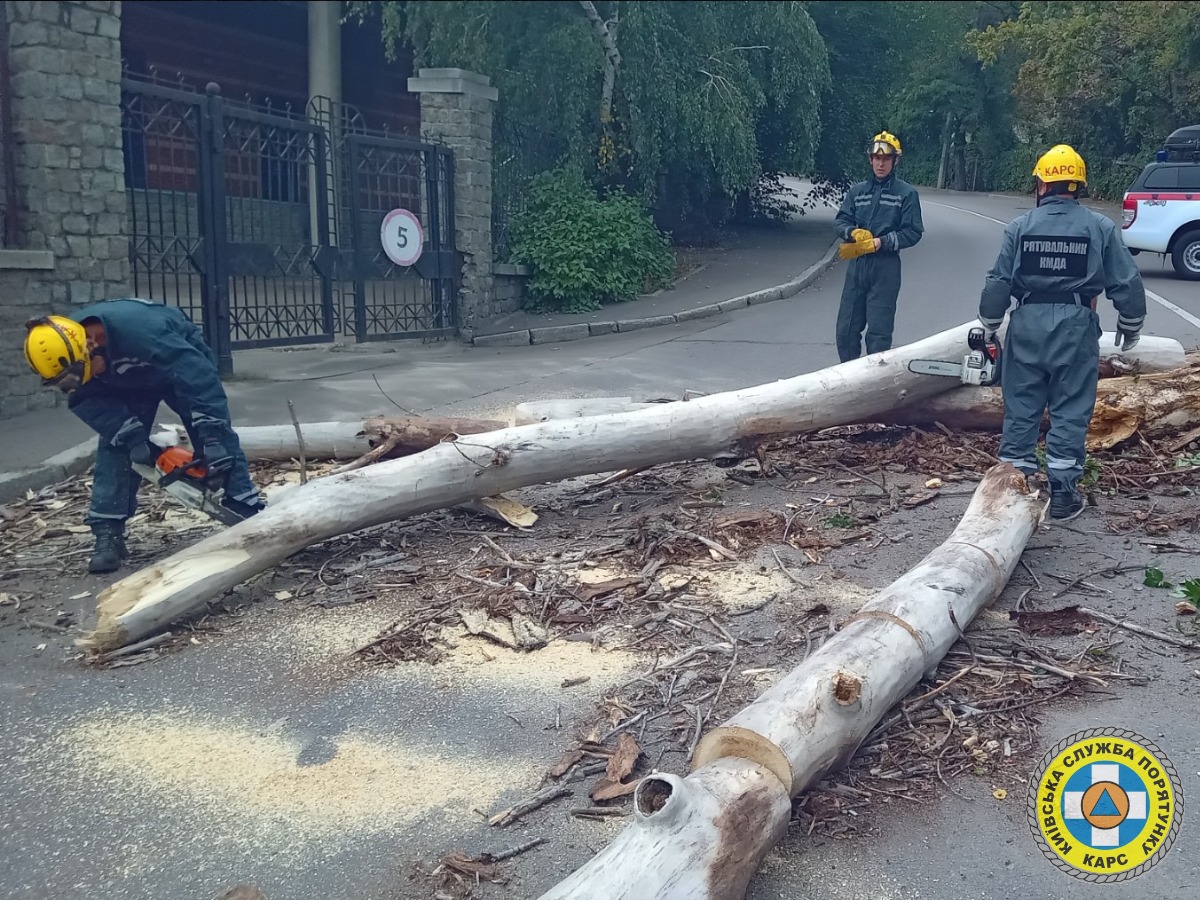 У Києві дерево впало на дорогу та заблокувало рух транспорту (ФОТО)