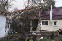 У Київській області ураган зривав дахи та валив дерева: деталі (Фото)
