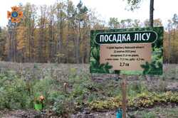 На деокупованій Київщині висадили молодий ліс (ФОТО)