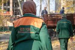 Месячник благоустройства в Киеве: как справились районы