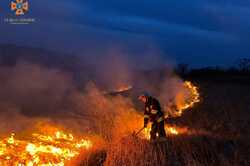 В Киевской области горожане стали чаще сжигать сухую траву (ФОТО)