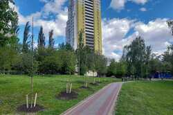 В Киеве в парке 