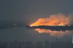 Масштабный пожар в экопарке Осокорки: выгорели гектары территории