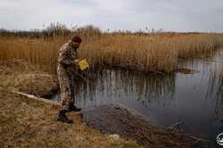 У Чорнобилі відновлюють болота: навіщо це роблять 