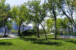 Парк 