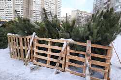 В Киеве ликвидируют незаконные елочные базары (ФОТО)