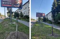 В Киеве из-за рекламы спилили молодые деревья