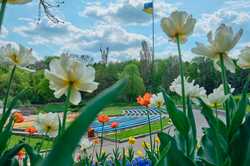 Низка парків Києва залишаються небезпечними для відпочинку