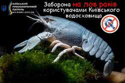 Теперь на Киевском водохранилище запрещена ловля раков