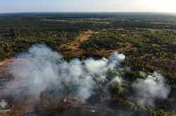 Під Києвом сталася масштабна пожежа у лісі (ФОТО)