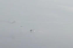 На Київському морі збили гелікоптери російських окупантів (Відео)