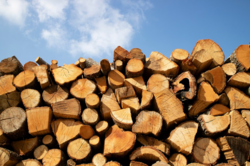 В Киевской области начали продавать дрова для отопления жилья: цены