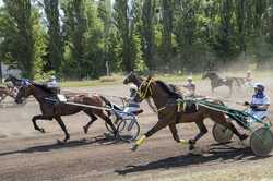 Конные гонки открыли сезон на ипподроме в Киеве (ФОТО)