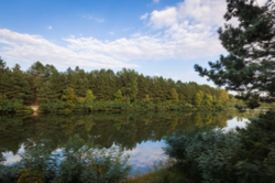 В Киевской области захватили участок леса возле Днепра на 9 миллионов гривен