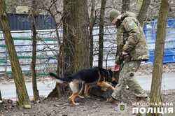 У Києві показали навички собак з пошуку вибухівки (ВІДЕО)