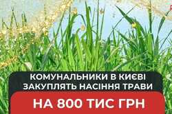 В одному з районів Києва на газонну траву планують витратити 800 тисяч гривень