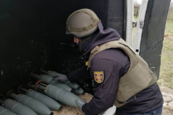 Полиция и ГСЧС начали работы по разминированию территории между аэропортом и Гостомелем
