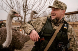 После обстрела оккупантовака: из экопарка в Ясногородке эвакуировали животных