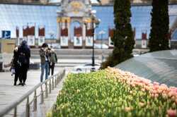 Весенний Киев утопает в цветах: жизнь продолжается (ФОТО)