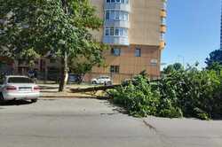 У Києві потужний буревій повалив сотні дерев
