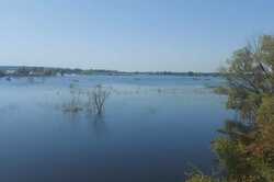В подтопленном селе Демидов зафиксировали снижение уровня воды