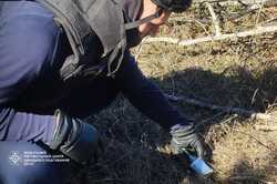 В Киевской области нашли газовую гранату: чем они опасны