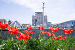 В Киеве расцвели невероятные цветы: где их можно увидеть (Фото)