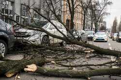 В Киеве ожидается самый холодный день на неделе: синоптики дали прогноз 