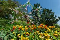 У Києві готують сезонну виставку квітів: можна буде побачити сотні тисяч весняних квітів