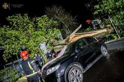 Через негоду повалені дерева потрощили кілька автомобілів у Києві (ФОТО)