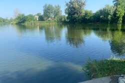 В водоемах Киевской области гибнет рыба и утки (ФОТО)
