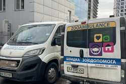 В Киеве будут бесплатно стерилизовать бездомных животных: адреса