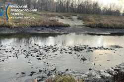 В Киевской области сильно обмелел приток Днепра (ФОТО)