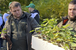 Мільярд дерев від Зеленського. Скільки саджанців висадили на Київщині
