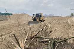 Скандальный застройщик начал уничтожать лес на Осокорках (ФОТО)