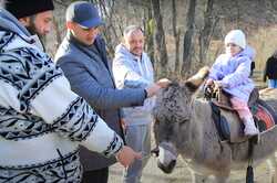 На Київщині можна відвідати унікальну віслючу ферму (ВІДЕО)