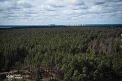 Київські ліси перевіряють безпілотниками з тепловізорами: у чому причина