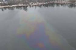 У київське озеро злили небезпечні токсичні речовини 