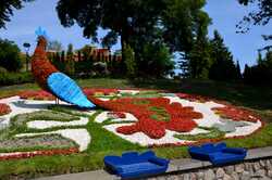 В Киеве открылась новая выставка цветов (ФОТО)