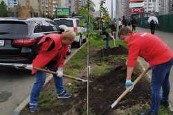 В Киеве на Позняках высадили новую аллею лип: подробности (Фото) 