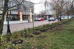 У Києві висадили рекордну кількість квітів (ФОТО)