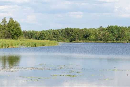 Землі водного фонду на Київщині передали у приватну власність