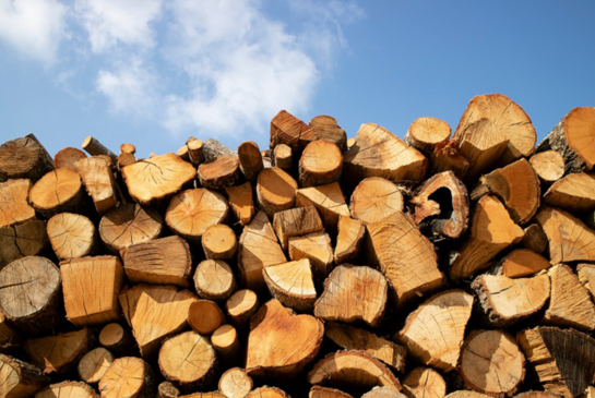 У Київській області почали продавати дрова для опалення житла: ціни