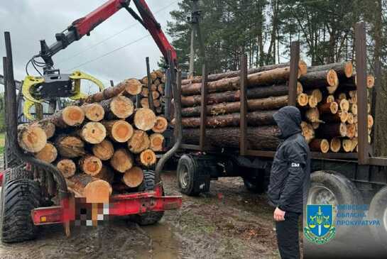 На Київщині посадовець за хабар продав високоякісну деревину по зниженим цінам