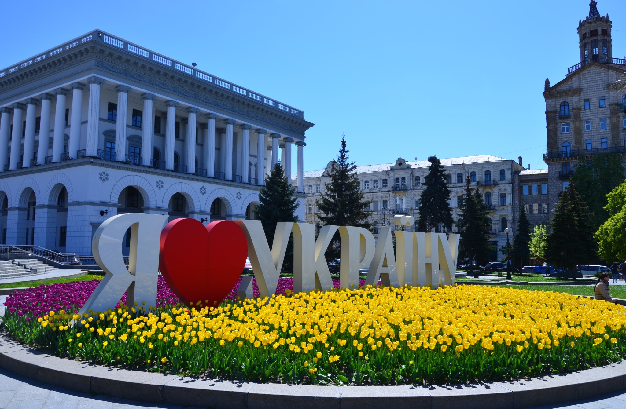 Чарівні тюльпани розквітлі в центрі Києва (ФОТО)