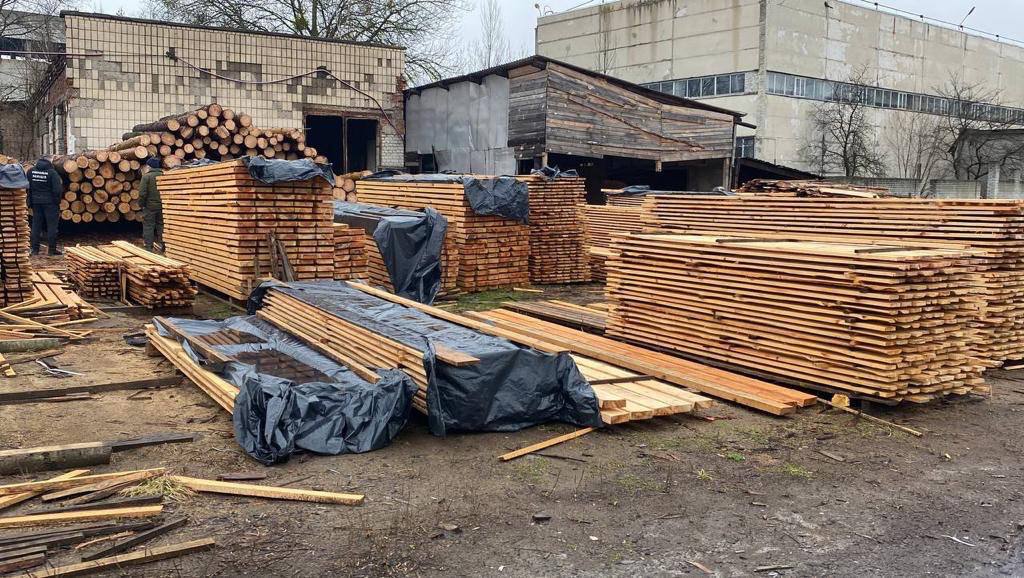 На Київщині викрили масштабну схему незаконної вирубки дерев (ВІДЕО)