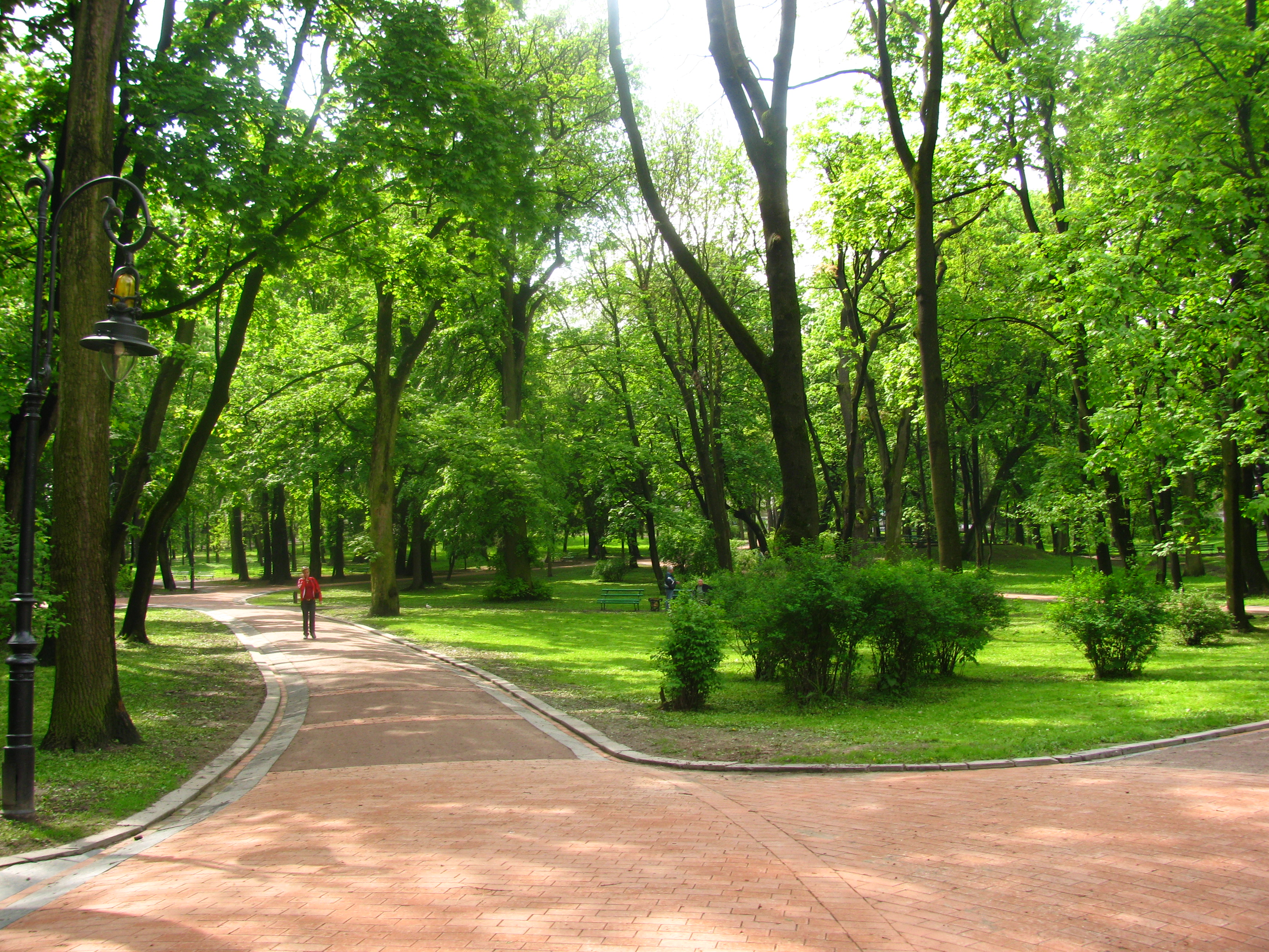 Парк зеленая зона
