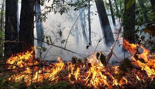 У Києві та області очікується надзвичайний рівень пожежної небезпеки