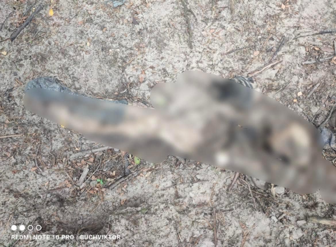 Поблизу Бучі на узбіччі знайшли тіло розстріляного киянина